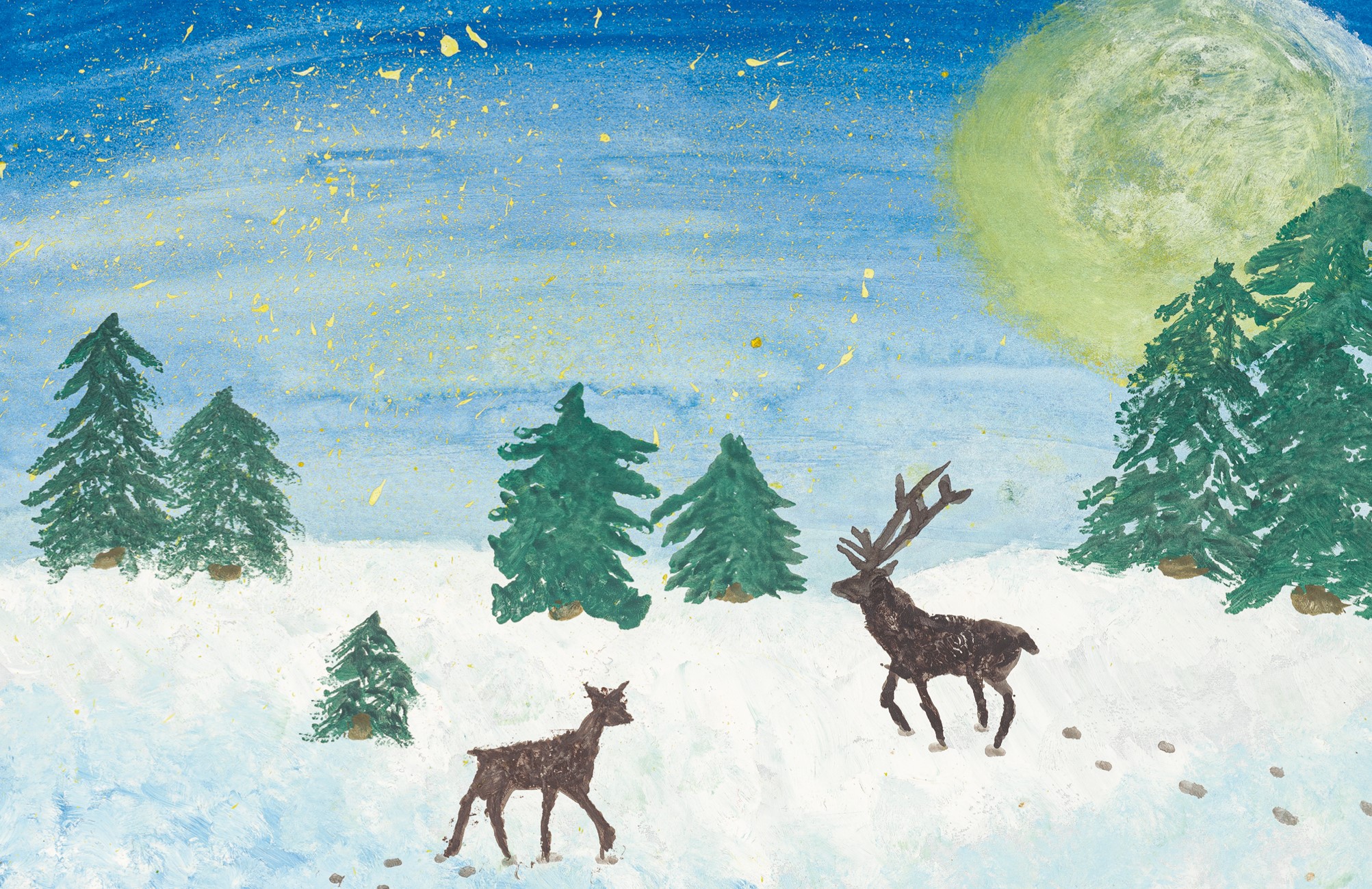 6-Winterwald_Lukas Rainer_2022-QF_web
