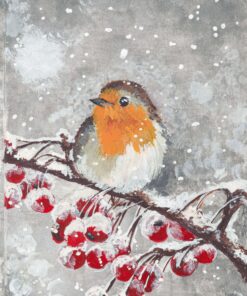 Rotkehlchen im Schnee, Edith Pixner